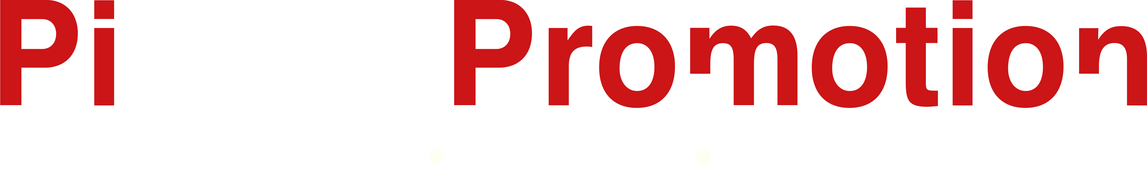 Pierre Promotion Logo